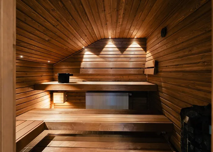 Lapland Lakeside 别墅 *